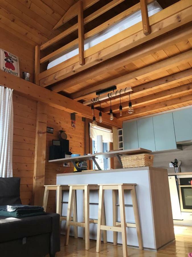 Chalet Lys Apartment 14 Rue Sigma シャンプーサン エクステリア 写真